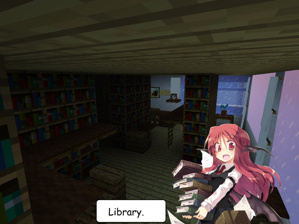 12 Library.png
